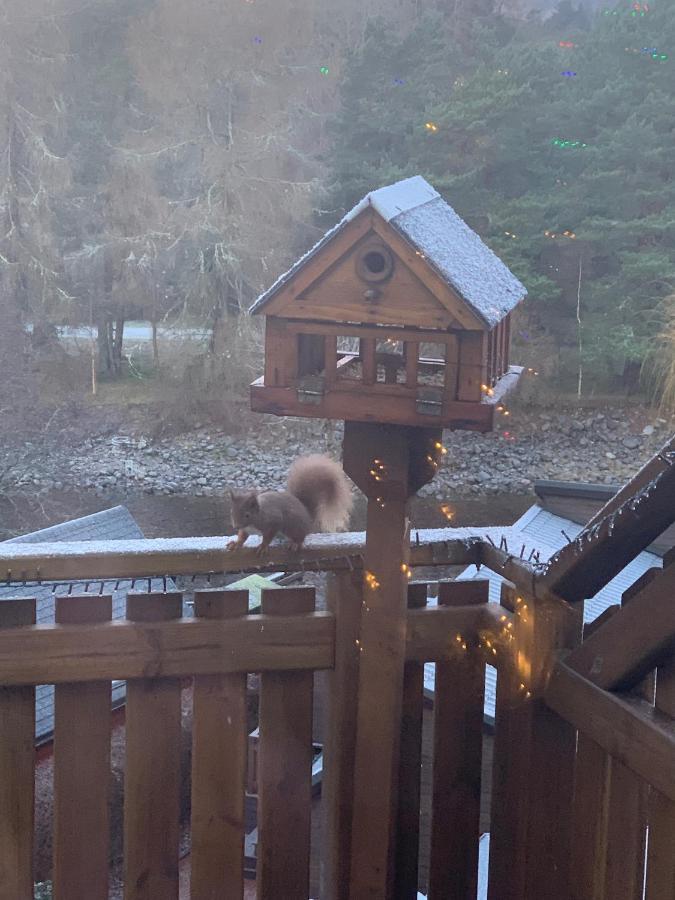 Beautiful 2 Bedroom Lodge With Stunning Views Blair Atholl Kültér fotó